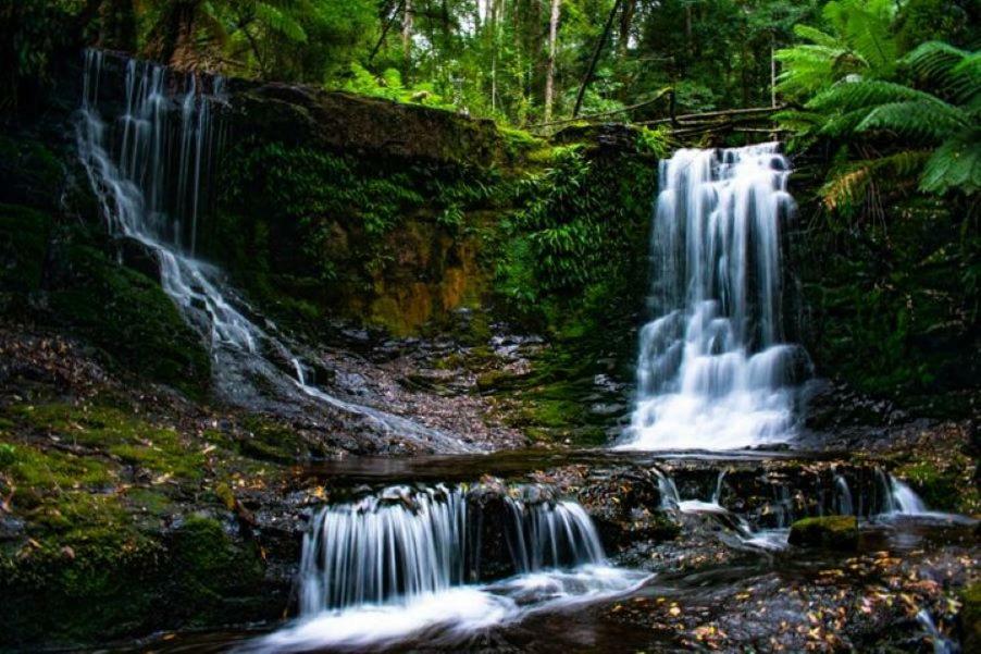 Russell Falls Holiday Cottages National Park Bagian luar foto